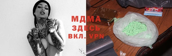 дмт Бородино