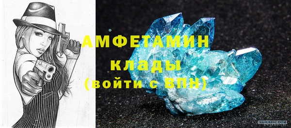 дмт Бородино