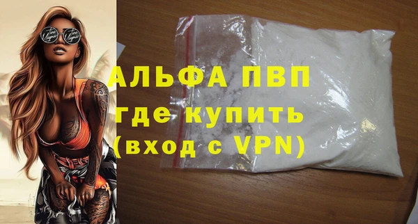 дмт Бородино
