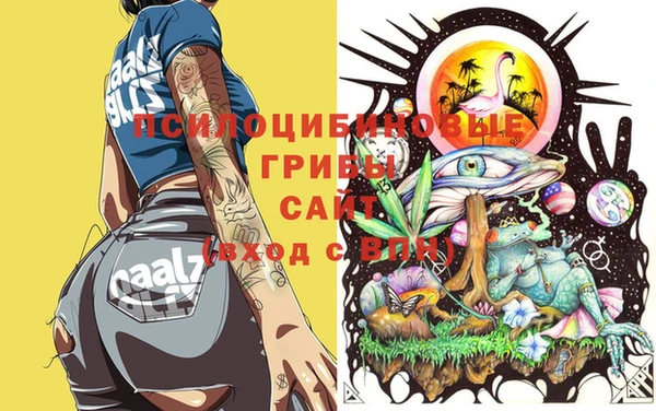 мяу мяу мука Верея