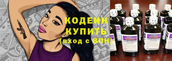 дмт Бородино