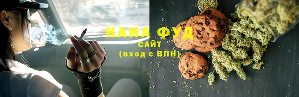 дмт Бородино