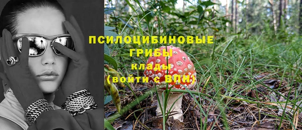дмт Бородино